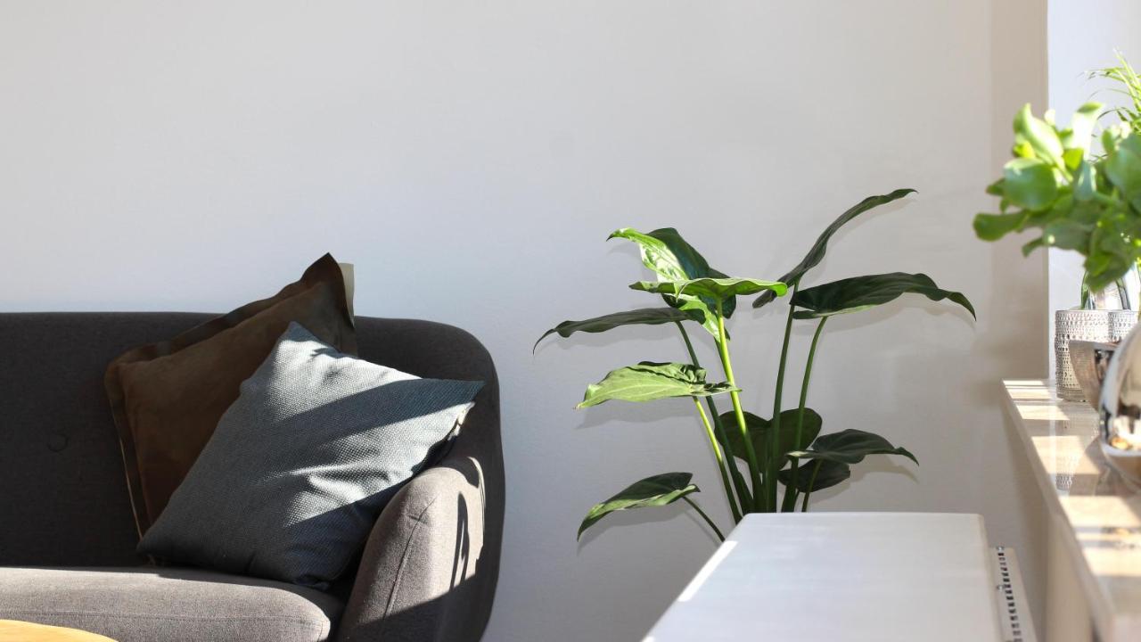 Seeblick25 - Apartments - Balkony - Wifi - Great View - New & Modern 빈터베르크 외부 사진
