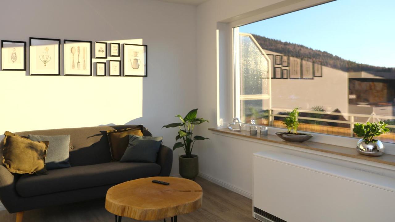 Seeblick25 - Apartments - Balkony - Wifi - Great View - New & Modern 빈터베르크 외부 사진